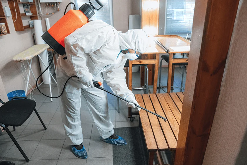 Termite Control