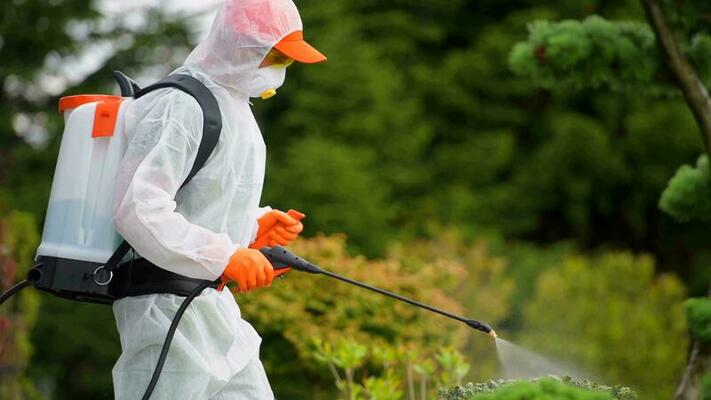 Wasp Control