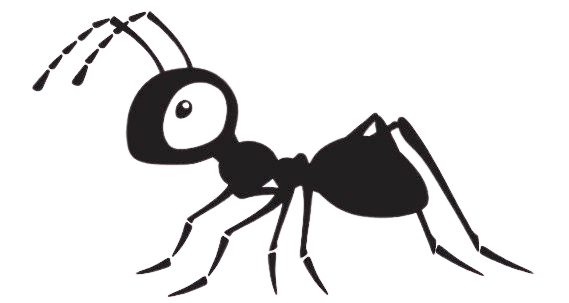 Ants