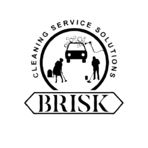 Brisk Group Logo