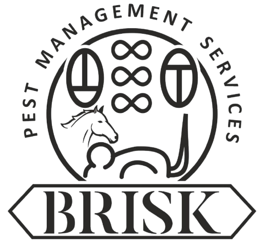 Brisk Group Logo