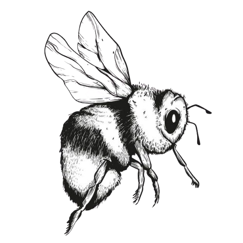 Honeybee Removal