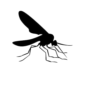 Mosquito Control