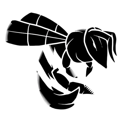 Wasp Control